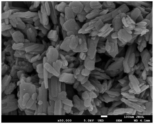 Preparation method of vanadium dioxide nanomaterial and its application in magnesium rechargeable battery