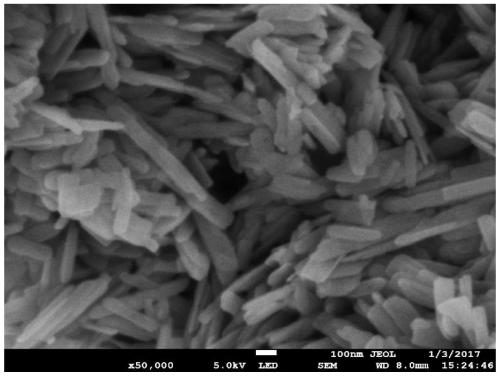 Preparation method of vanadium dioxide nanomaterial and its application in magnesium rechargeable battery