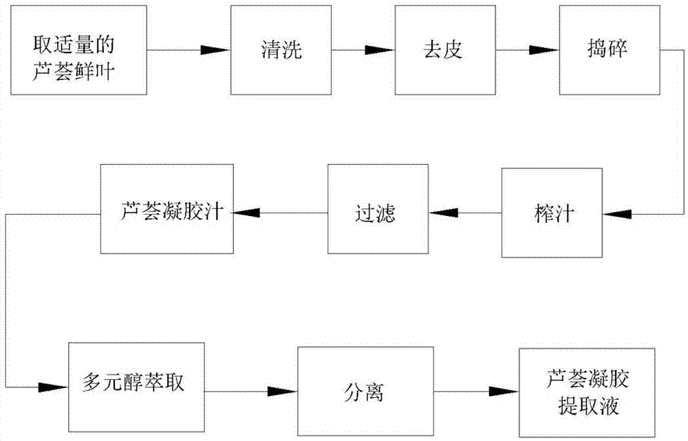 Bio-fiber aloe mask and preparation method thereof