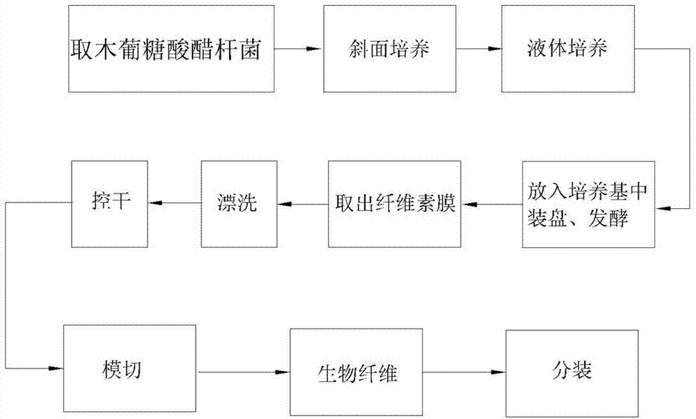 Bio-fiber aloe mask and preparation method thereof