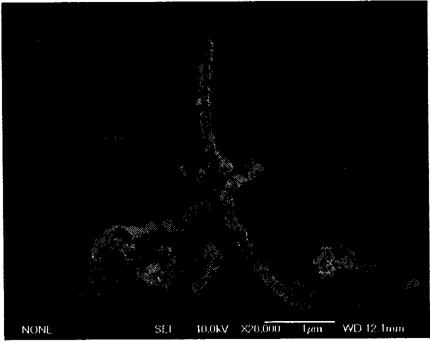 Method for preparing composite photocatalyst of titanium oxide/multi-wall carbon nano pipe by electron-beam irradiation