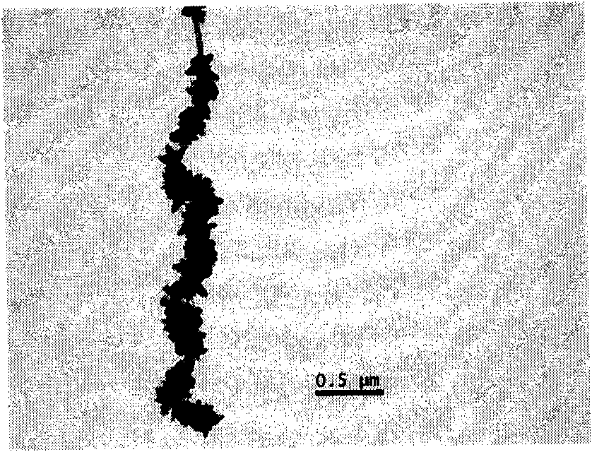 Method for preparing composite photocatalyst of titanium oxide/multi-wall carbon nano pipe by electron-beam irradiation