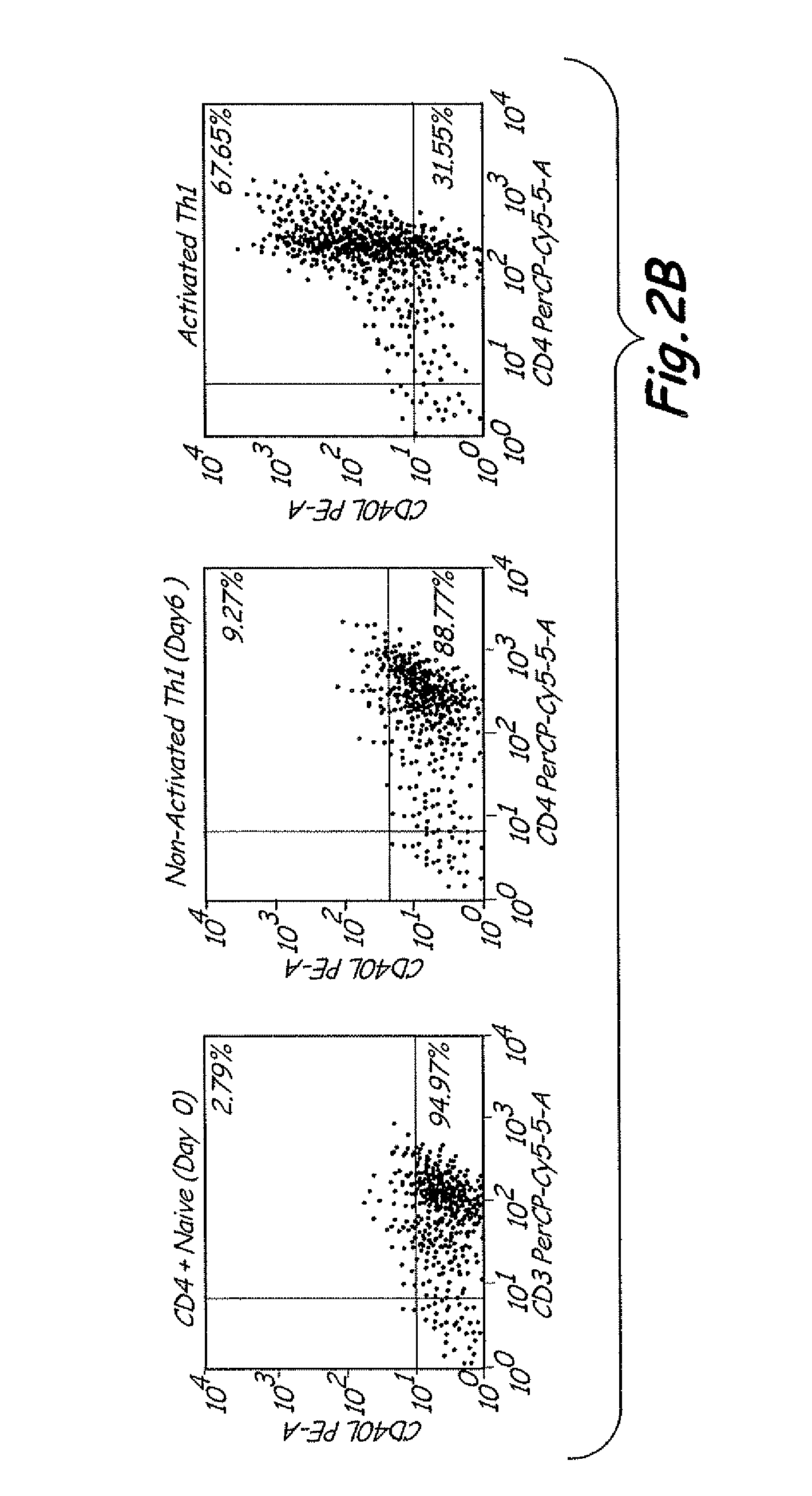 Th1 vaccination priming for active immunotherapy