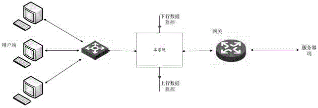 System for separation treatment of data message