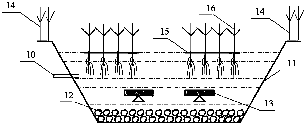 System and method for ecological treatment and utilization of urban rainwater