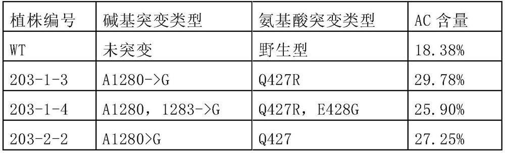 Polypeptide for increasing amylose content of plants, and nucleic acid and application thereof