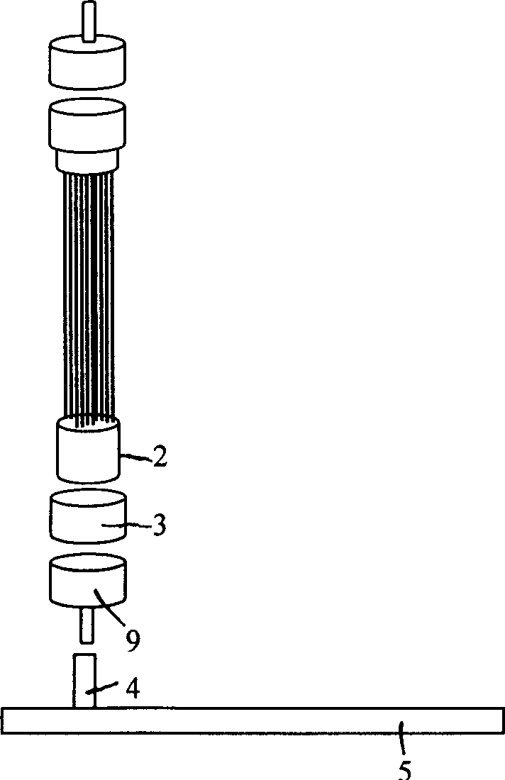 Plant-type hollow fibre membrane assembly