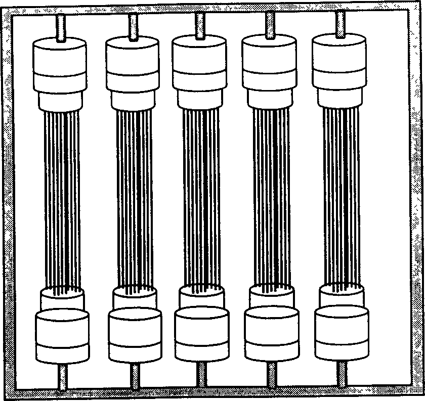 Plant-type hollow fibre membrane assembly