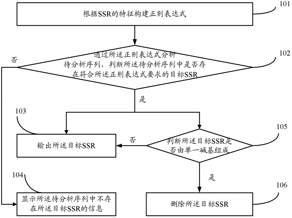 Exploring method and exploring device for biological genome simple repeat sequence