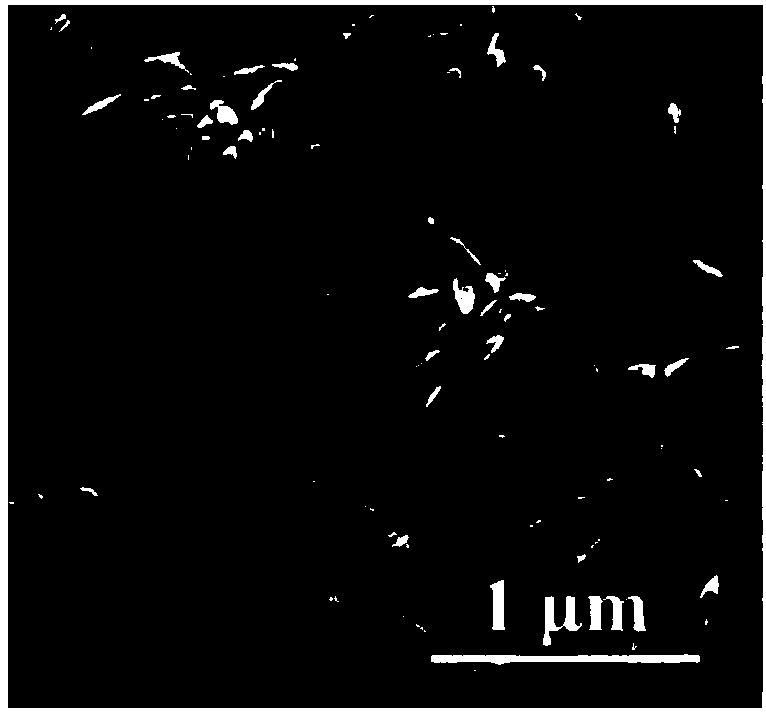 Magnetic nano material capable of improving intravenous thrombolysis treating efficiency and preparation method thereof