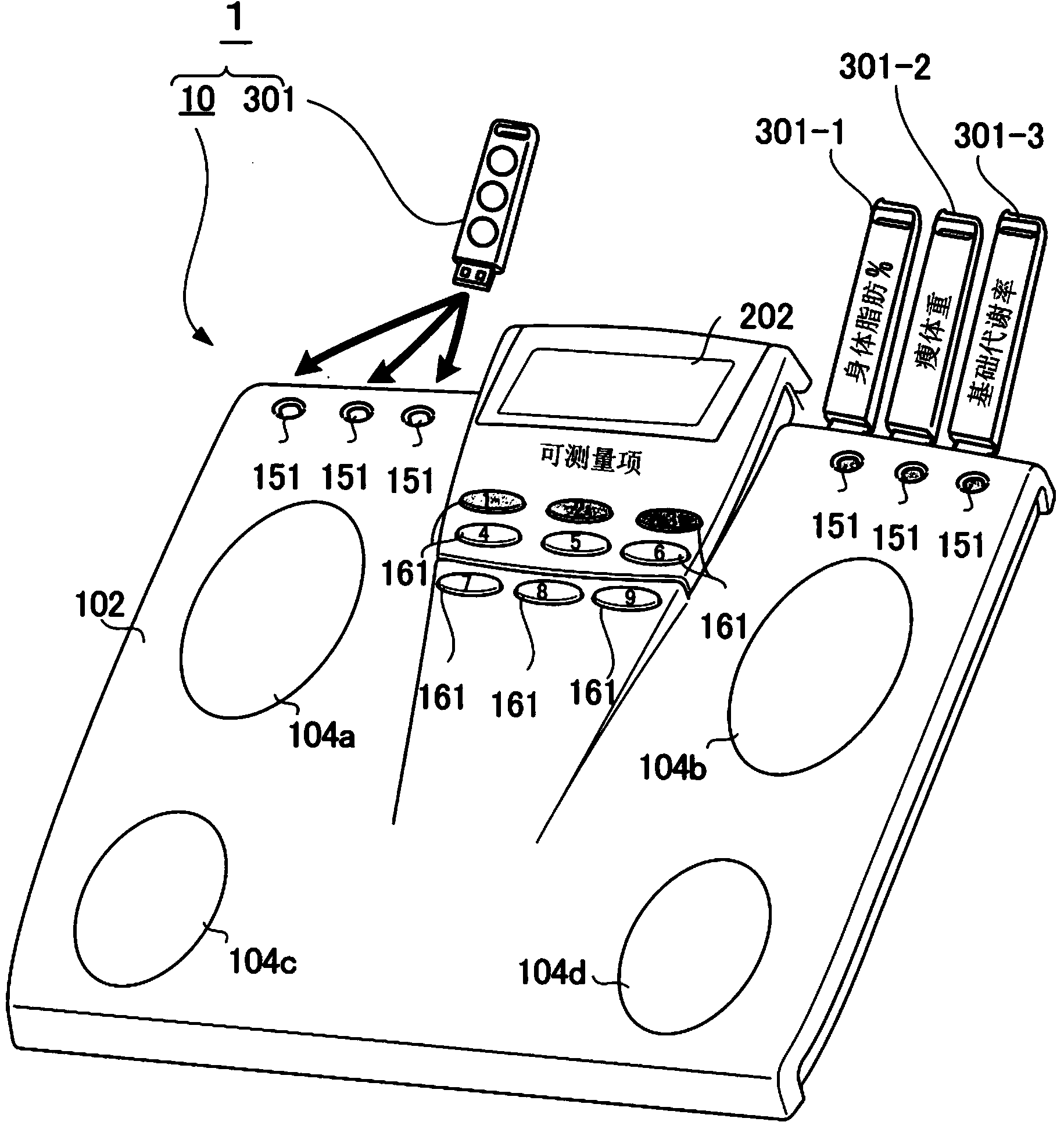 Body composition measuring apparatus and body composition measurement system