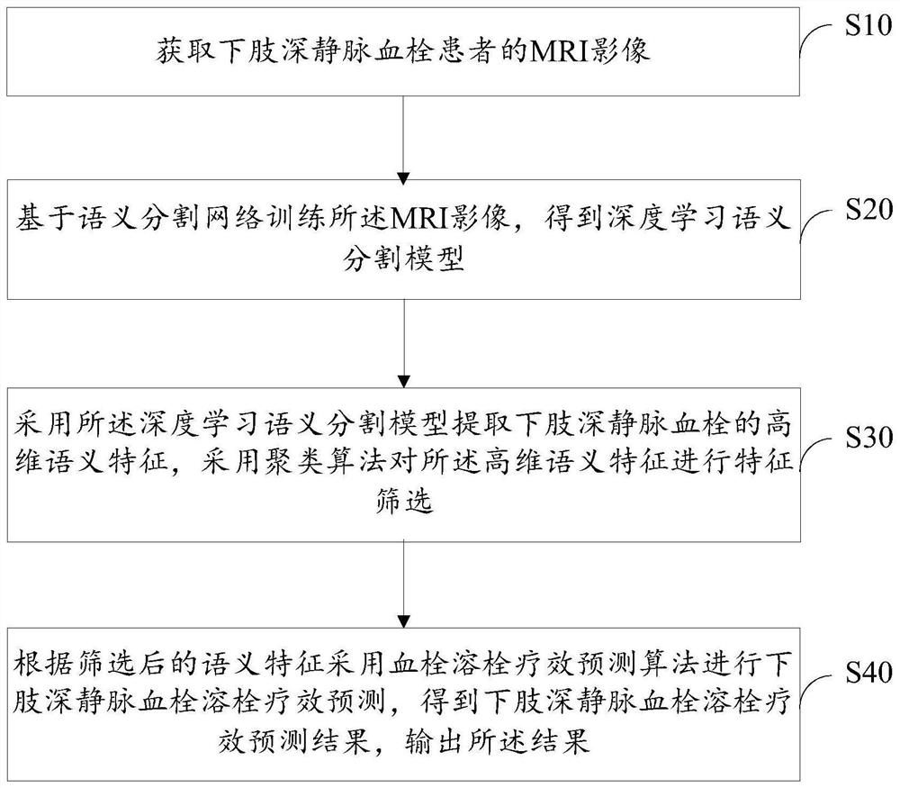 Deep vein thrombosis thrombolytic effect prediction method and system, storage medium and terminal