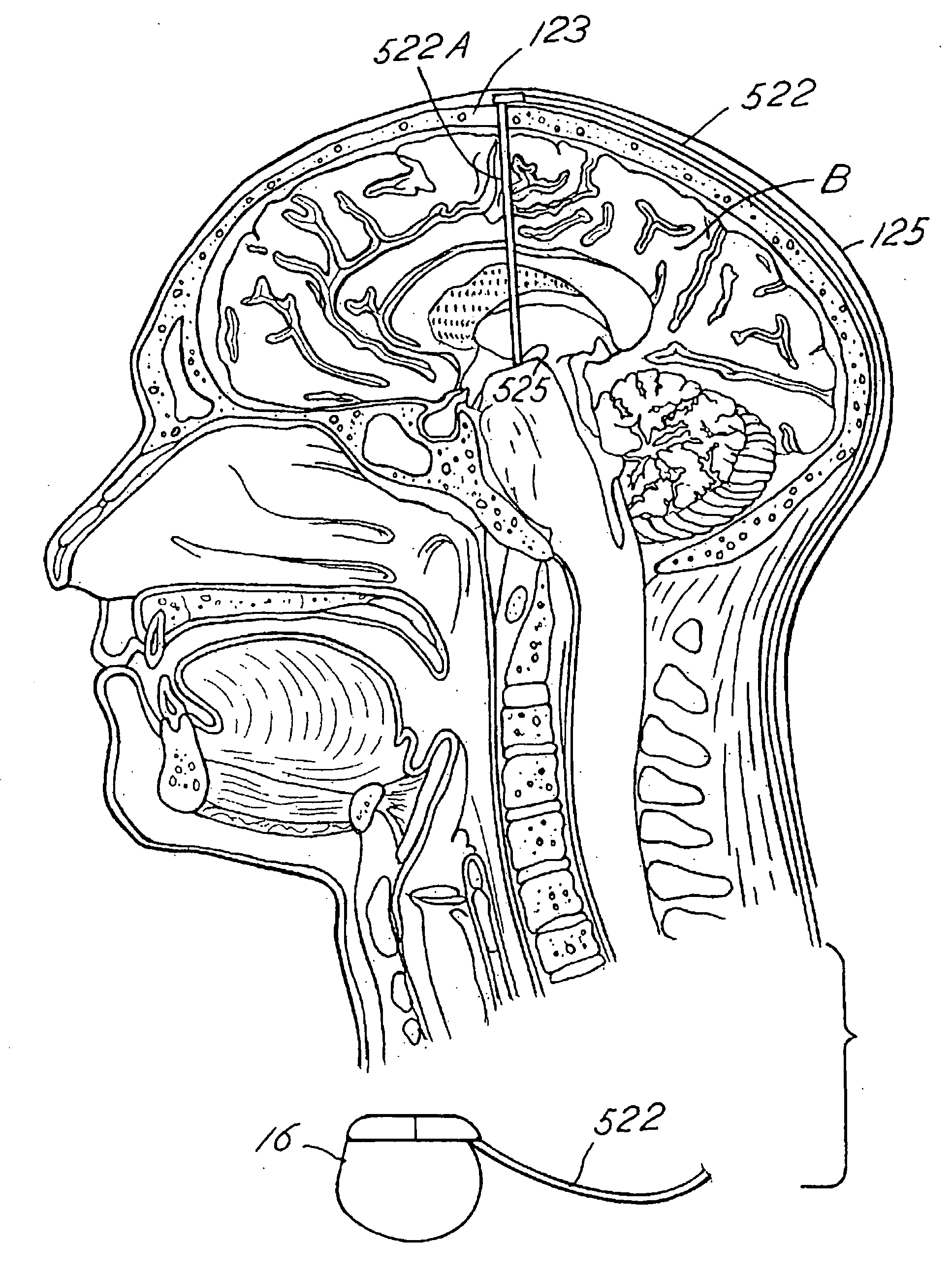 Regulation of neurotrophins