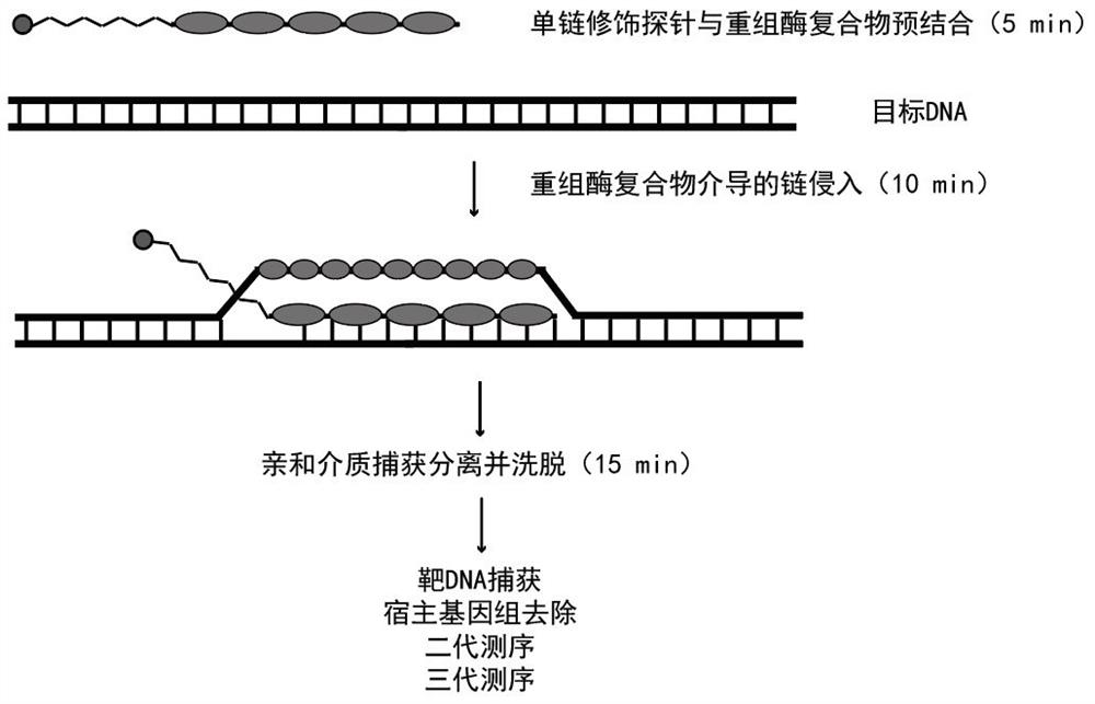 Sequencing method based on gene capture technology