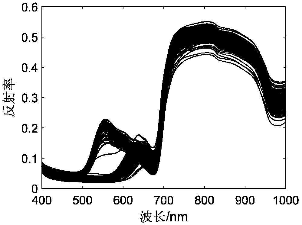 Non-destructive testing method for plum hardness based on visible/near-infrared spectroscopy