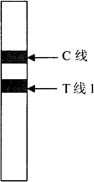 Method for diagnosing cardiac troponin I (cTn I) in semi-quantitative mode by employing double-indicatrix immunochromatography