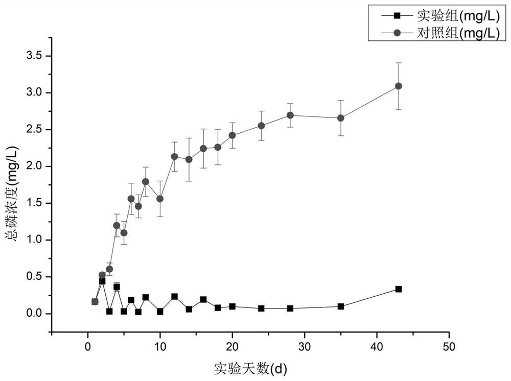 Preparation method of active covering plate for synchronously controlling nitrogen and phosphorus release of bottom mud