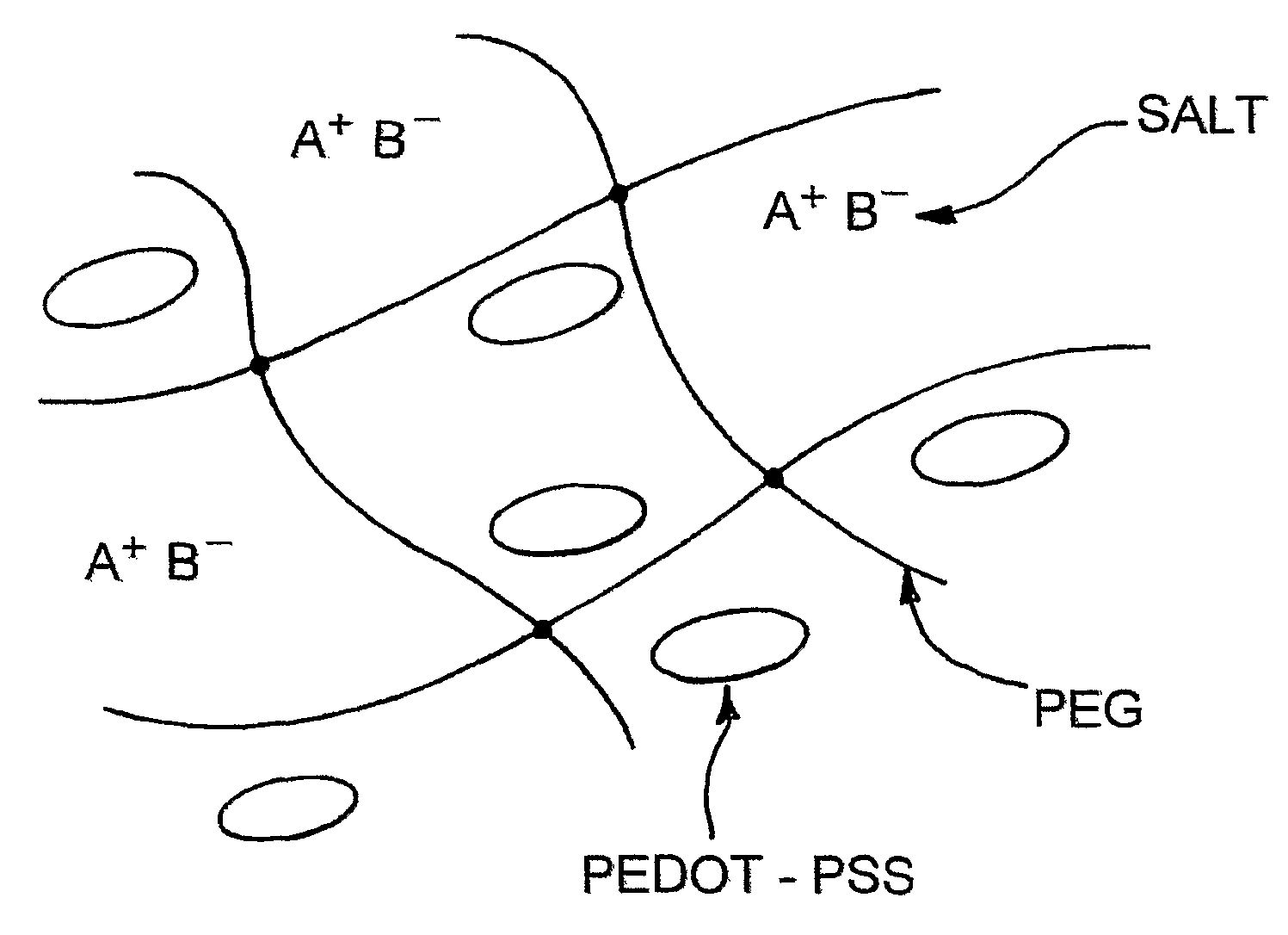 Conductive polymer compositions in opto-electrical devices