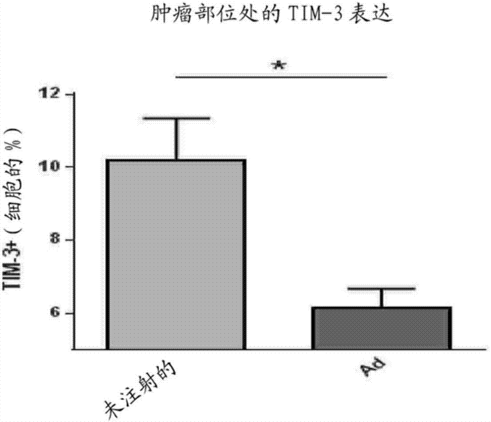 Oncolytic adenoviruses coding for bi-specific antibodies and methods and uses related thereto