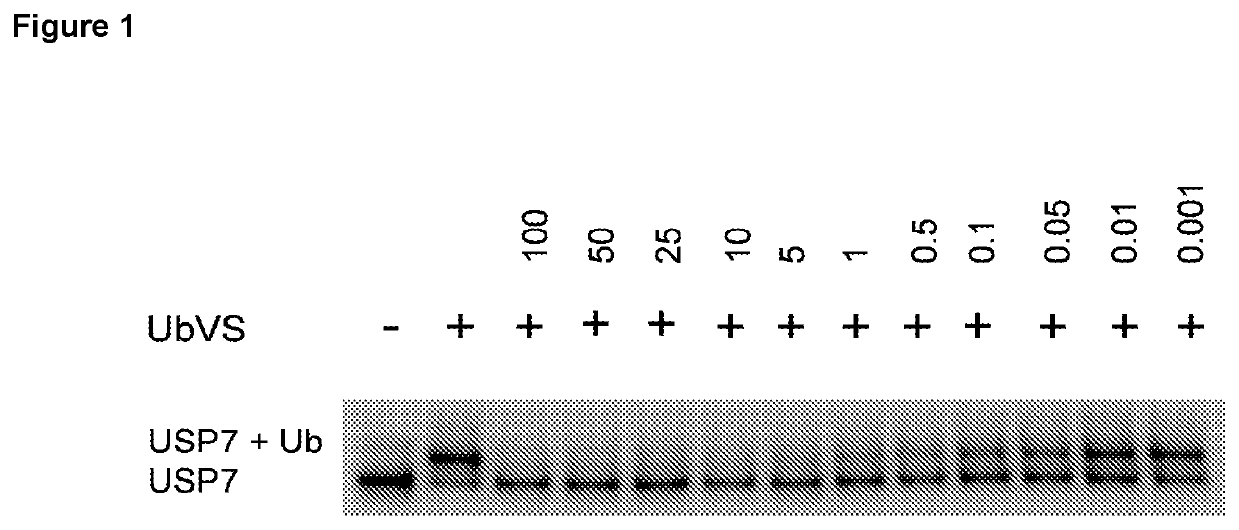 Piperidine derivatives as inhibitors of ubiquitin specific protease 7