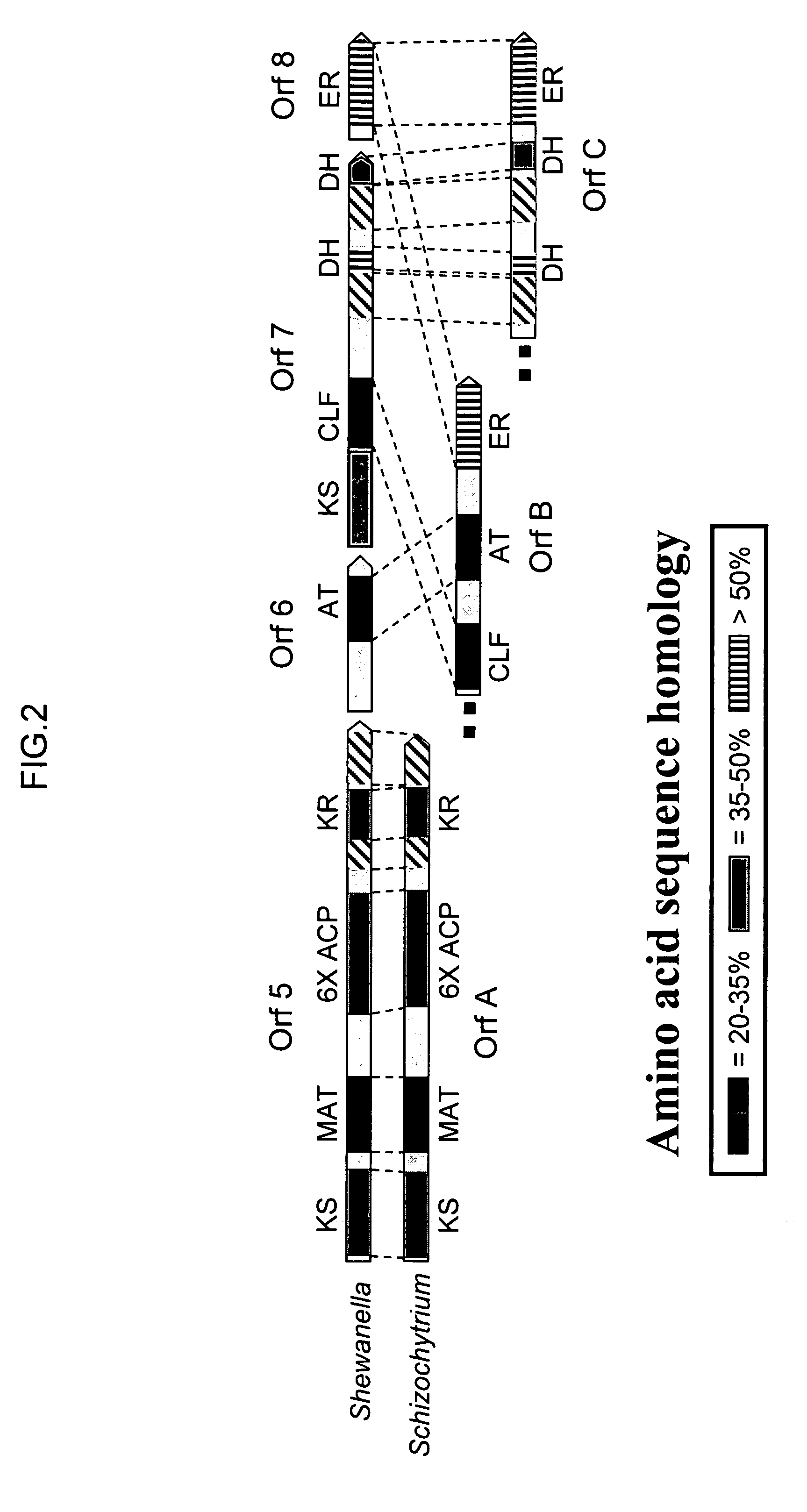 PUFA polyketide synthase systems and uses thereof