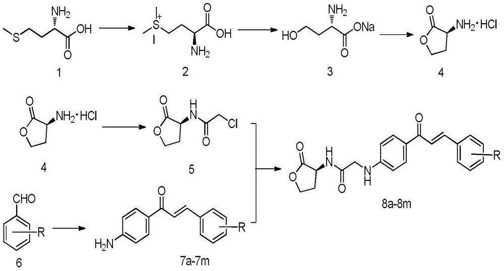 Homoserine lactone compounds as well as preparation methods and application thereof