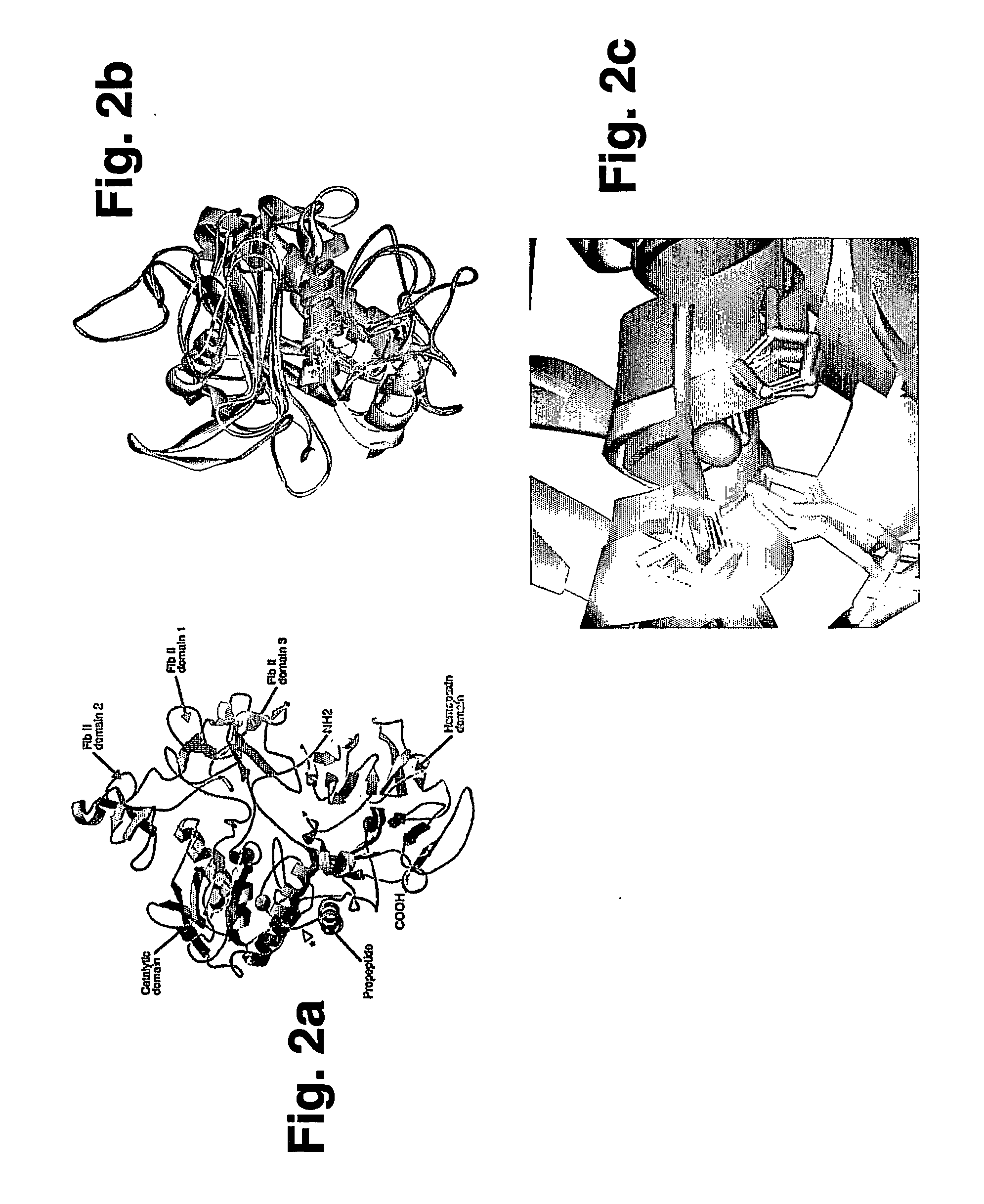 Antibodies and pharmaceutical compositions containing same useful for inhibiting activity of metalloproteins