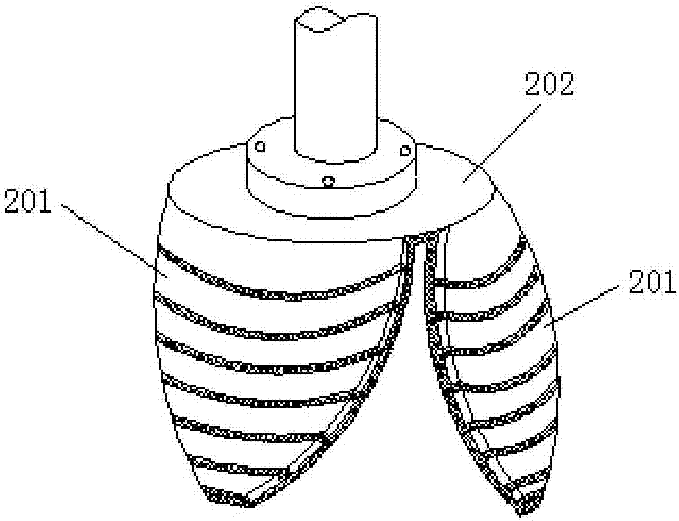 Machine vision based mushroom automatic picking up system and method