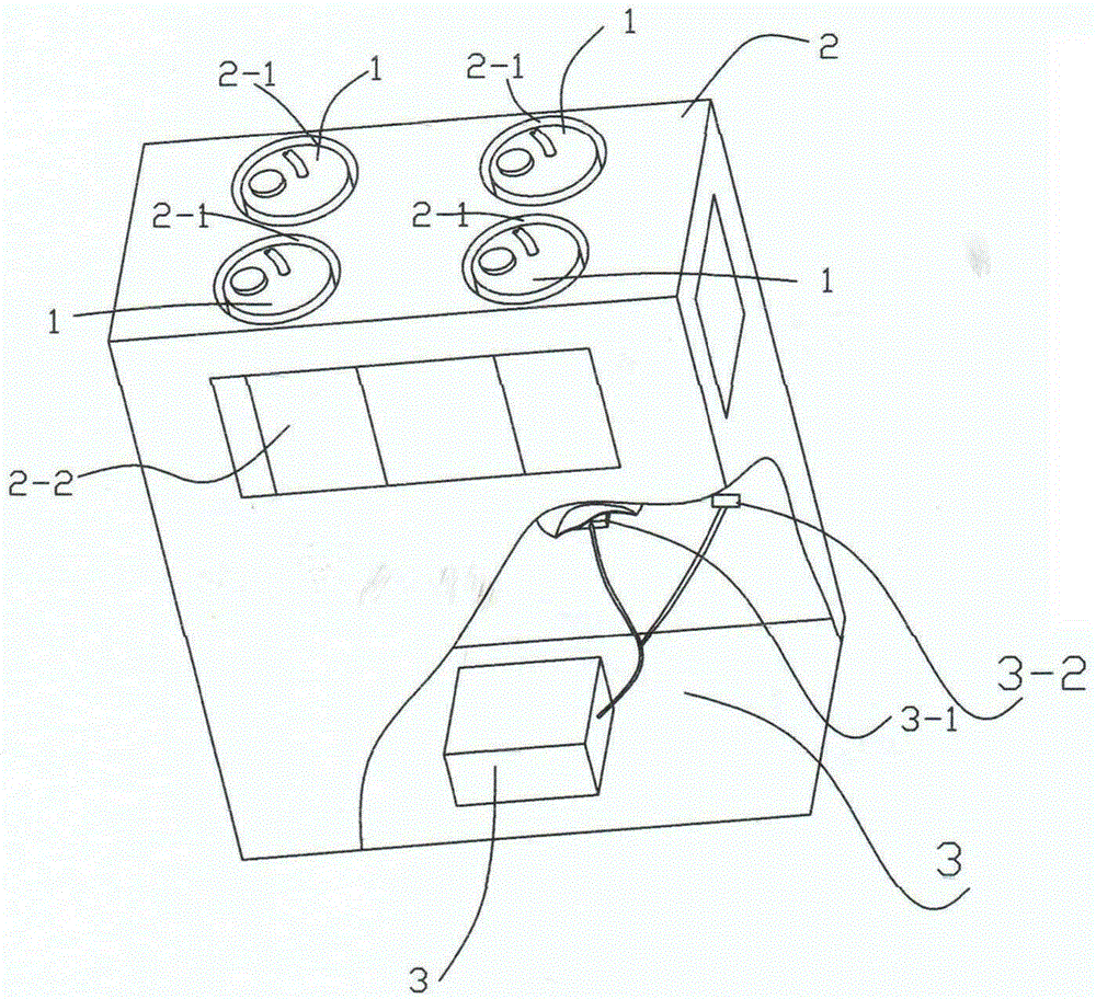 Concentrated ink supply device possessing vibration function