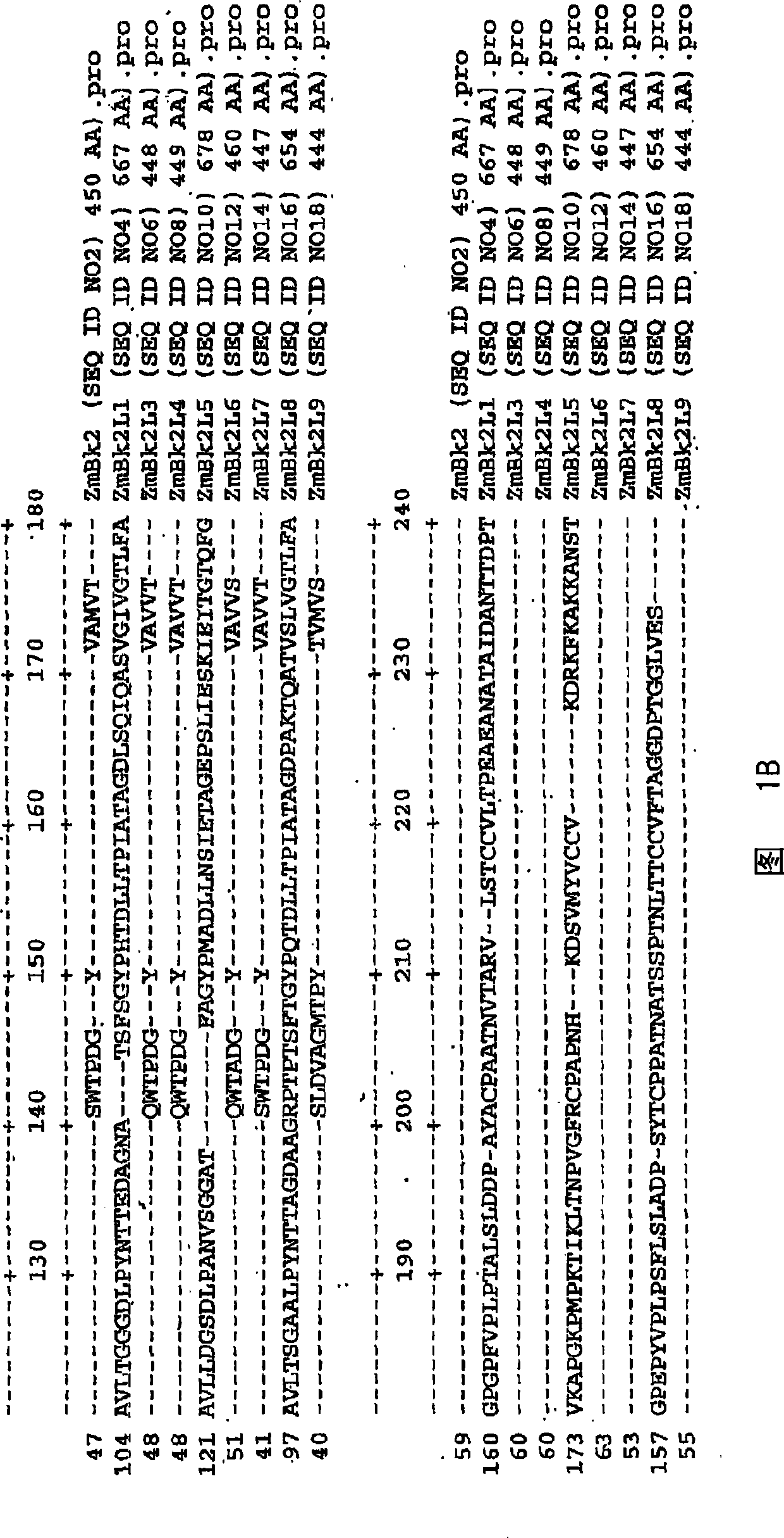 Crisp caudex 2 gene family and correlation method and purpose