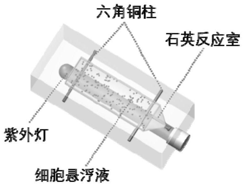 Single-cell mass spectrometry methods