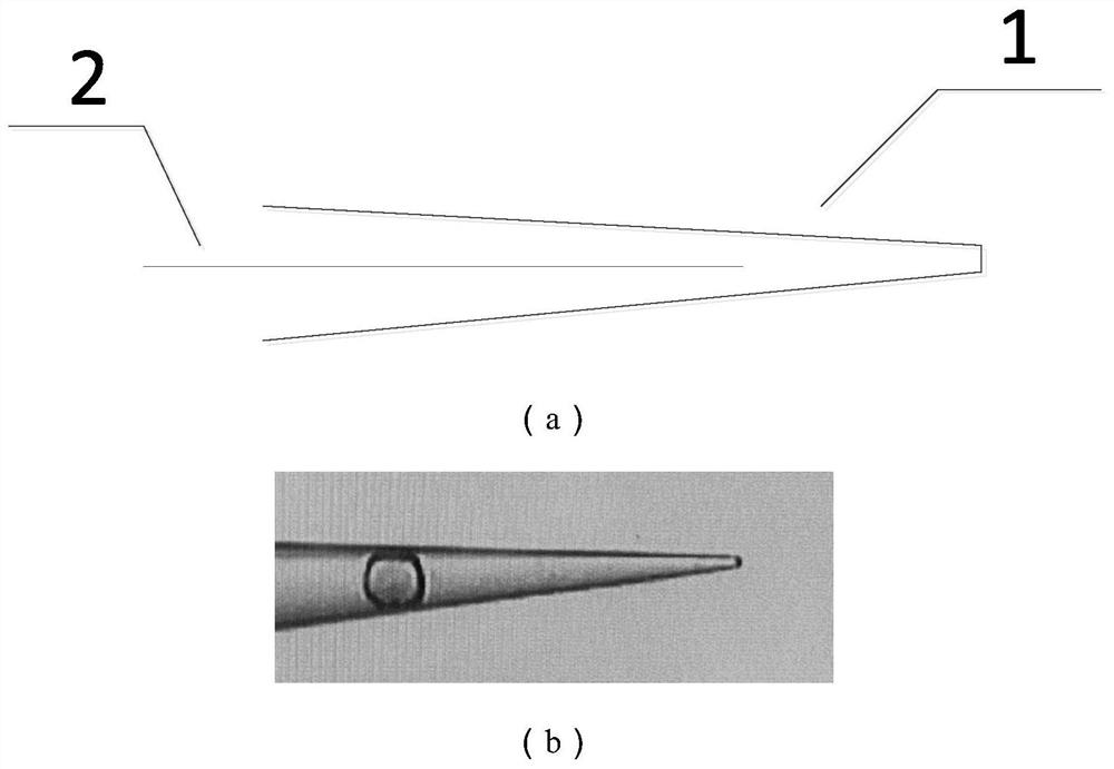 Single-cell mass spectrometry methods