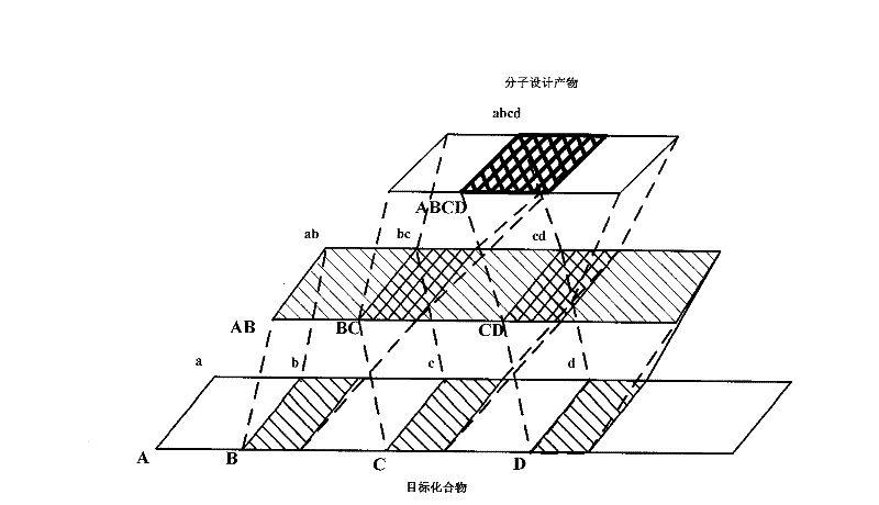 Application of multidimensional matrix used for medical molecule design and medical molecule design method