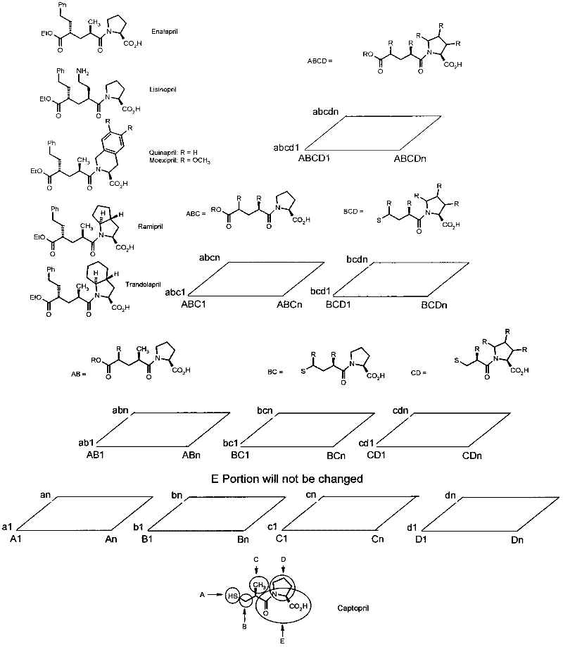 Application of multidimensional matrix used for medical molecule design and medical molecule design method