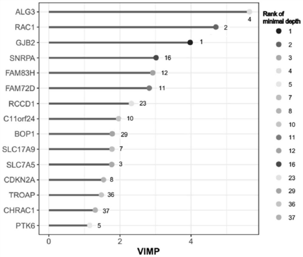 Gene markers, evaluation methods and applications for stratified evaluation of tumor prognosis