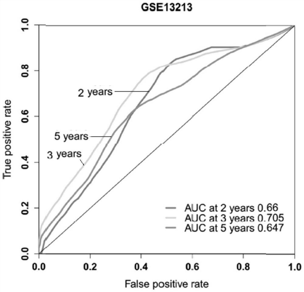 Gene markers, evaluation methods and applications for stratified evaluation of tumor prognosis