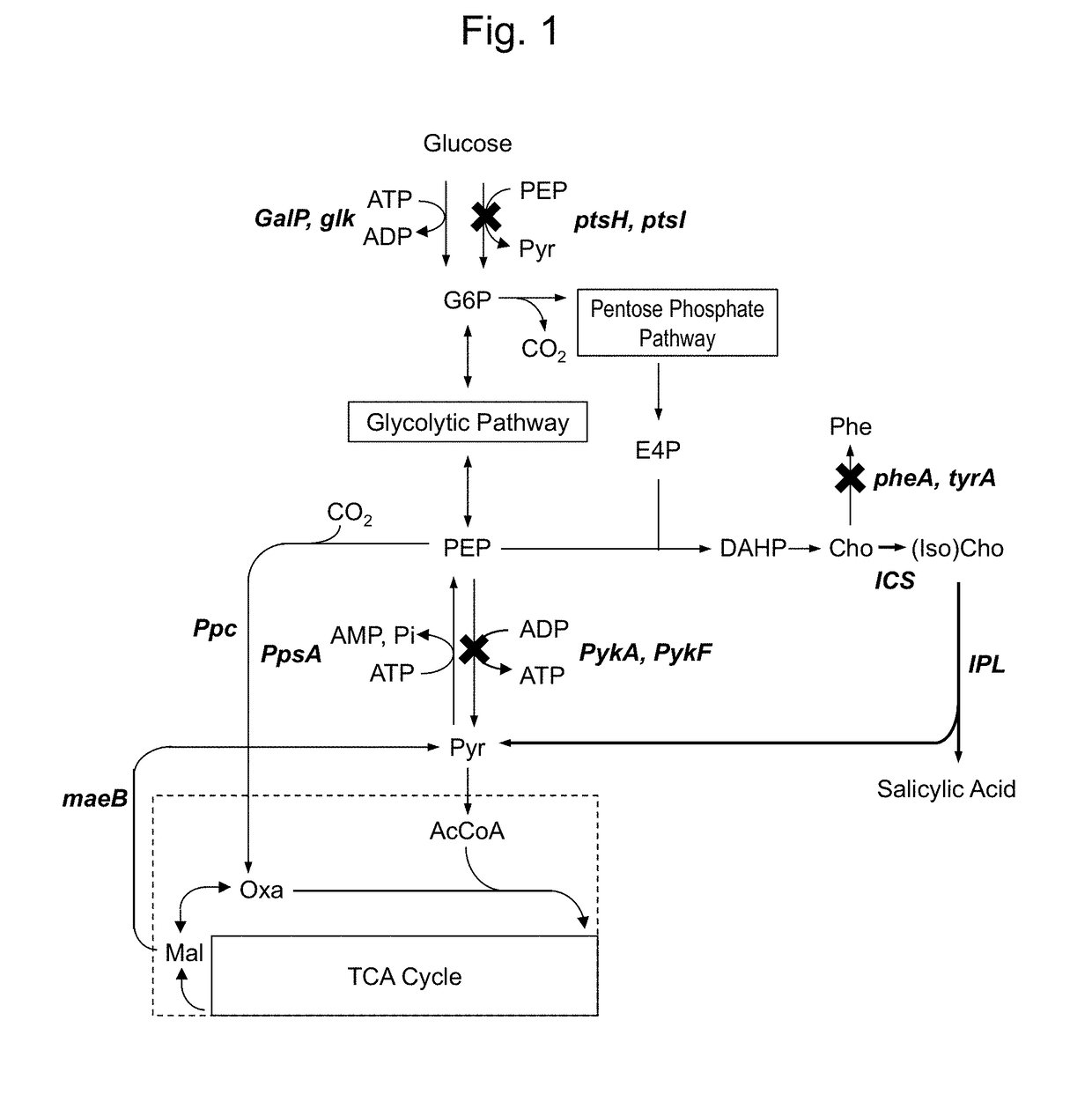 Method for producing aromatic compound and derivative thereof