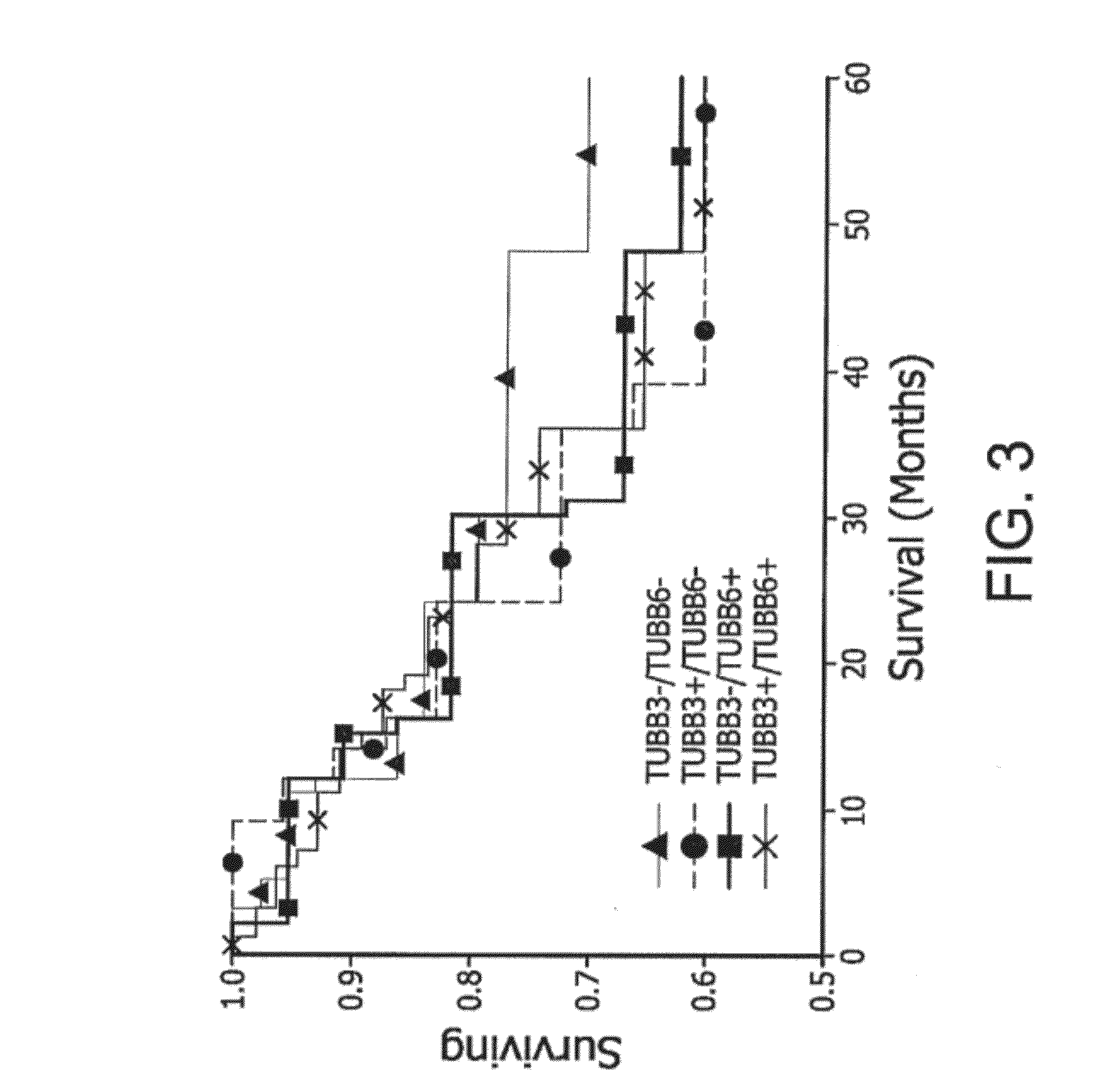 Method for the treatment of cancer