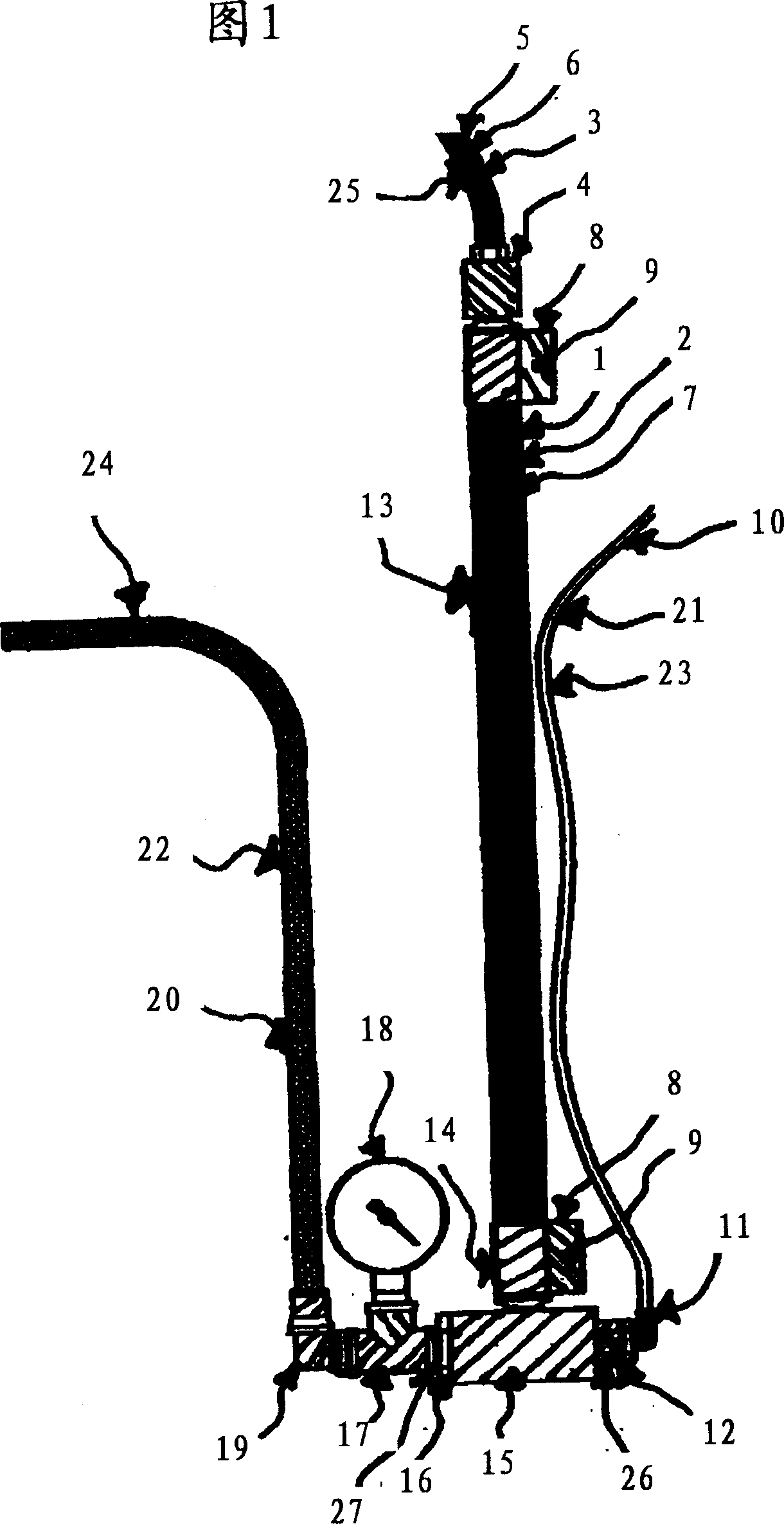 Method and device for gasifying water