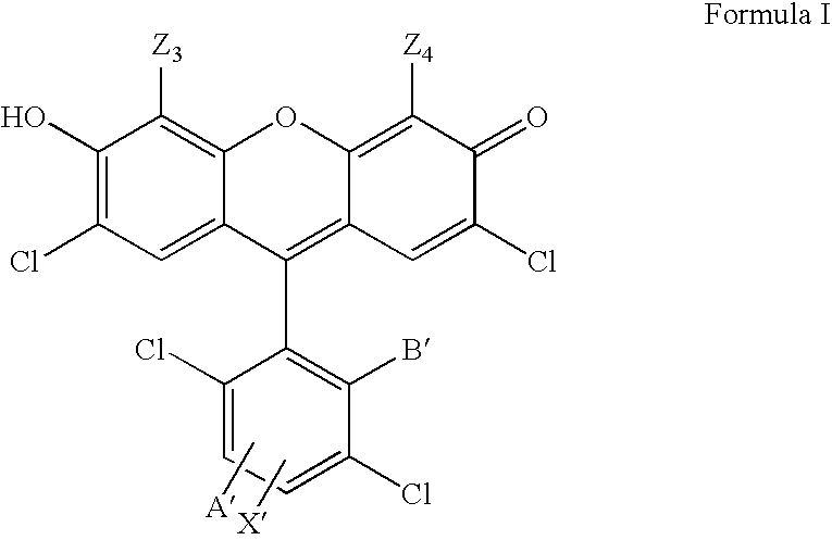 4,7-dichlorofluorescein dyes as molecular probes