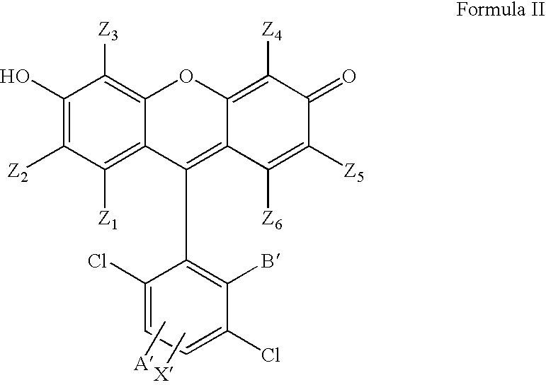 4,7-dichlorofluorescein dyes as molecular probes