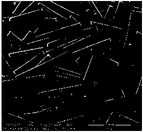 Method for rapidly identifying monoacetylmorphine and morphine in hair