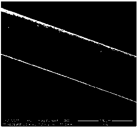 Method for rapidly identifying monoacetylmorphine and morphine in hair