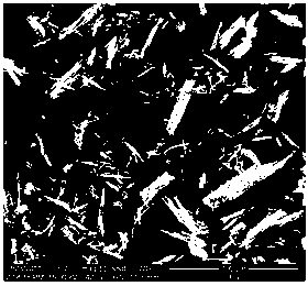 Method for rapidly identifying monoacetylmorphine and morphine in hair