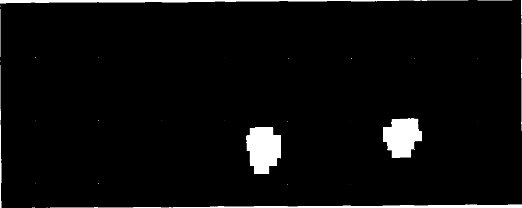 Vehicle detecting and tracking method and device at night