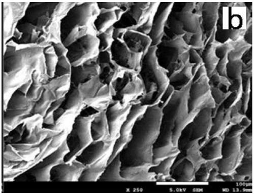 A kind of preparation method of functional nano-cellulose composite airgel