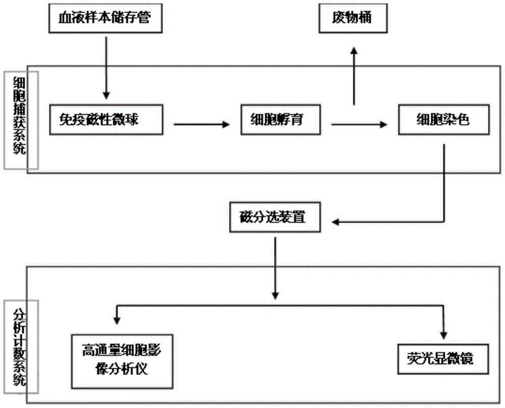 A breast cancer circulating tumor cell detection system and kit