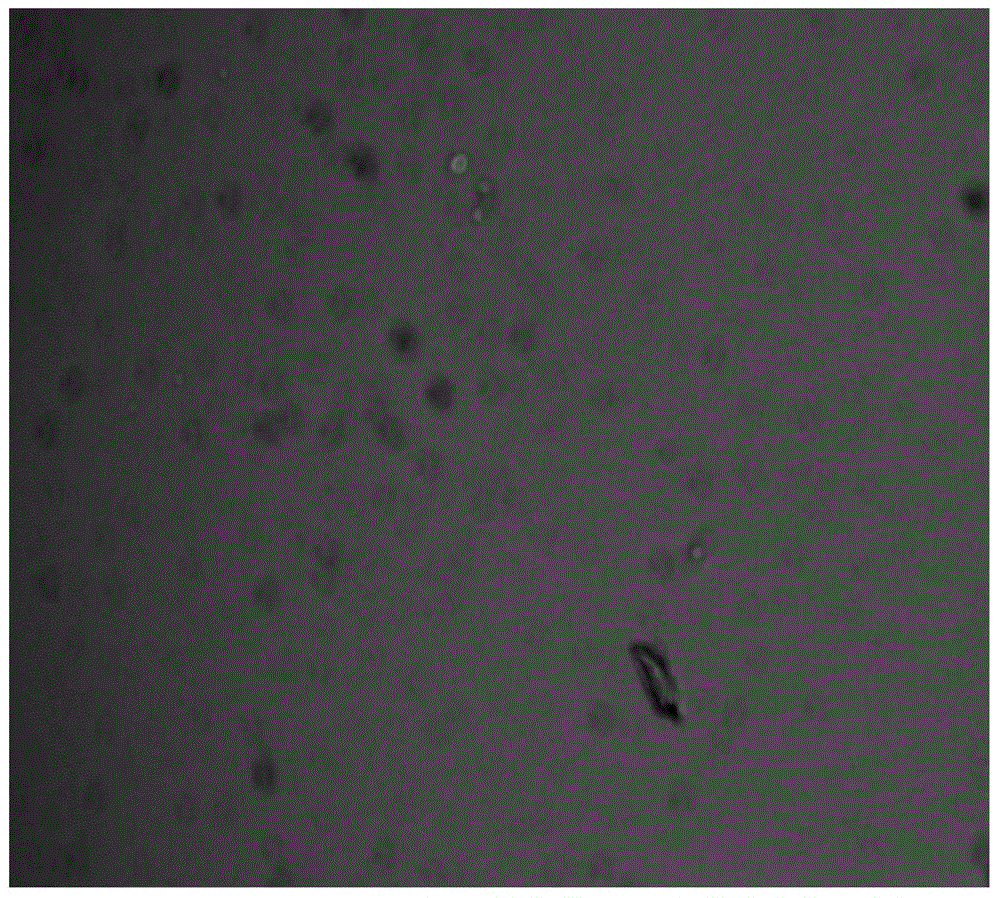 A breast cancer circulating tumor cell detection system and kit