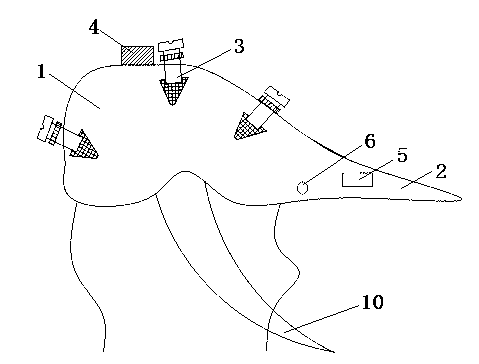 Brain and refreshing physiotherapy cap with positioning and stimulating of head acupoint area integrated