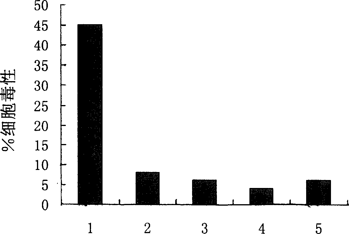 Antigenic determinant polypeptide of human tumor-testis antigen HCA587 and use thereof